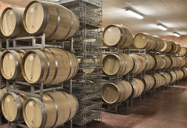 Tradizional fa hordó italia vörös bor — Stock Fotó