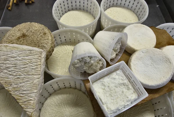 İtalyan taze peynir çeşitleri — Stok fotoğraf