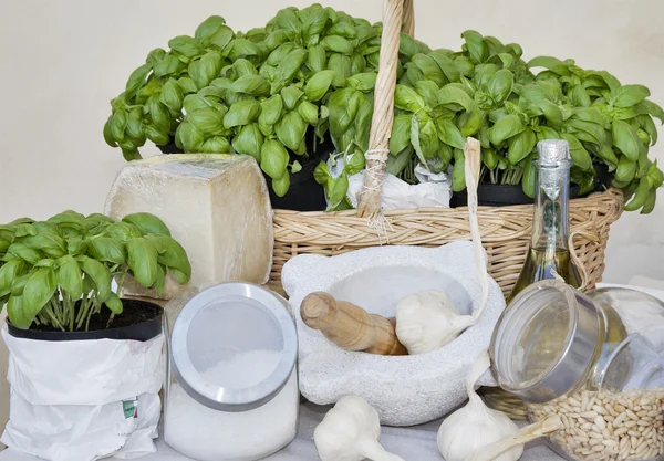 Ingredientes de pesto de albahaca de liguria genuina — Foto de Stock
