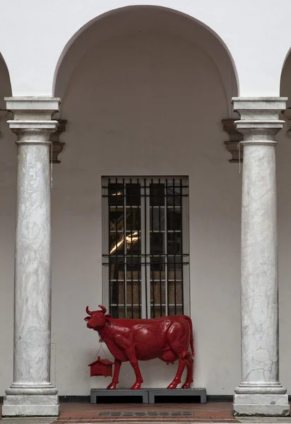 Vaca vermelha — Fotografia de Stock