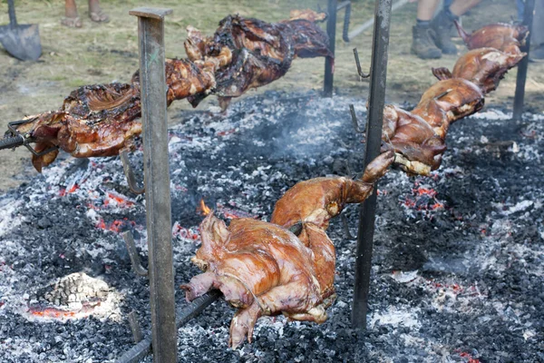 Cerdo entero cocinado a la parrilla —  Fotos de Stock