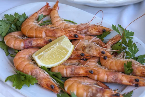 Італійська морепродуктів: свіжих креветок — стокове фото