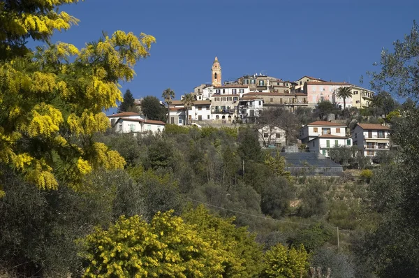 Seborga, italia —  Fotos de Stock