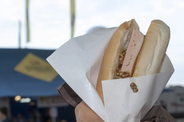 Un panino molto gustoso — Foto Stock