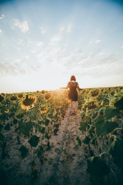 A beautiful young girl with her back turned walks through a field of sunflowers on a summer day's sunset