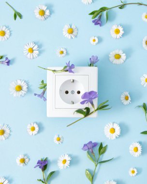 Yaratıcı güç kaynağı ve taze çiçek kavramı. Düz mavi arkaplan üzerinde yatıyordu.