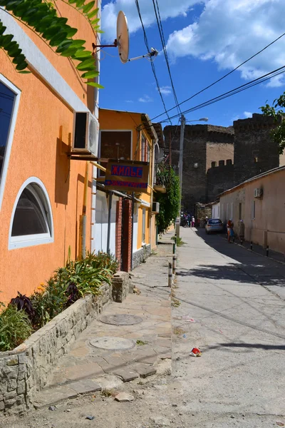 Camino a la playa — Foto de Stock