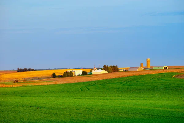 Nature view of farmland or agriculture field with green grass field in foreground.