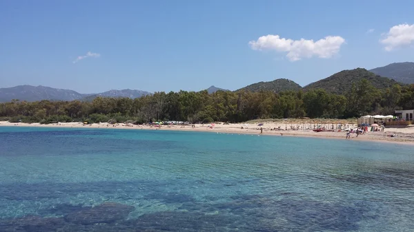 Plage et mer bleue colorée Sardaigne — Photo