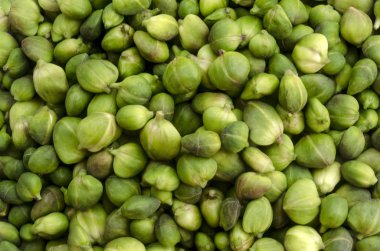 tedavi önce taze Kapari