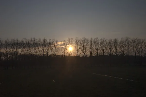 Por do sol no campo com sol através das árvores em silhueta — Fotografia de Stock