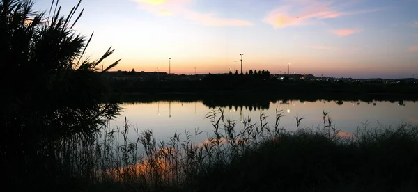 Pôr do sol relaxante no lago no parque da cidade — Fotografia de Stock