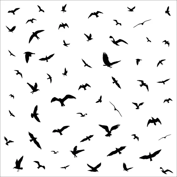 Siluetas de aves voladoras sobre fondo blanco. Ilustración vectorial — Vector de stock