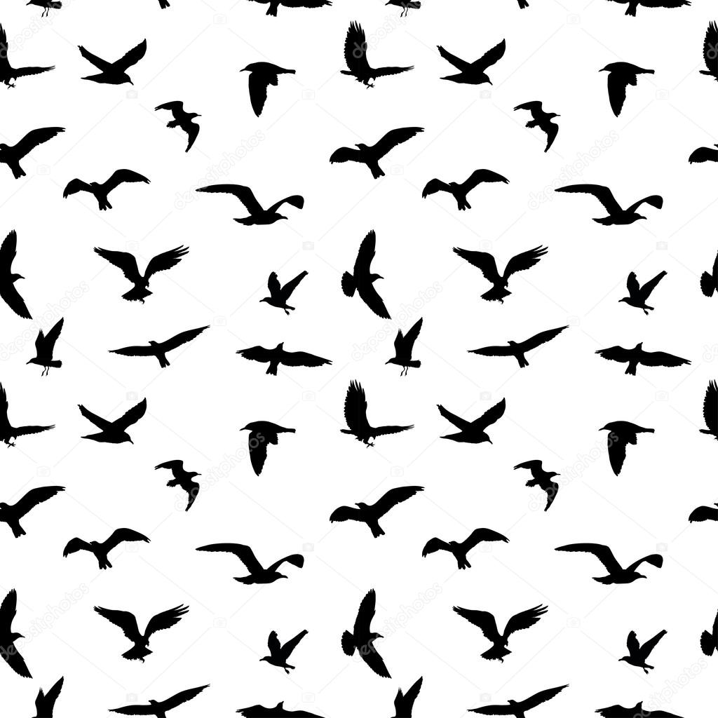 Seamless pattern of flying birds silhouettes on white background. Vector illustration