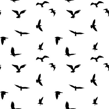 Kuş silhouettes beyaz arka plan üzerinde uçan seamless modeli. Vektör çizim