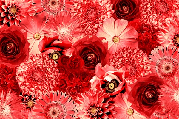 Vintage czerwone kwiaty kolaż tło retro stylu — Zdjęcie stockowe