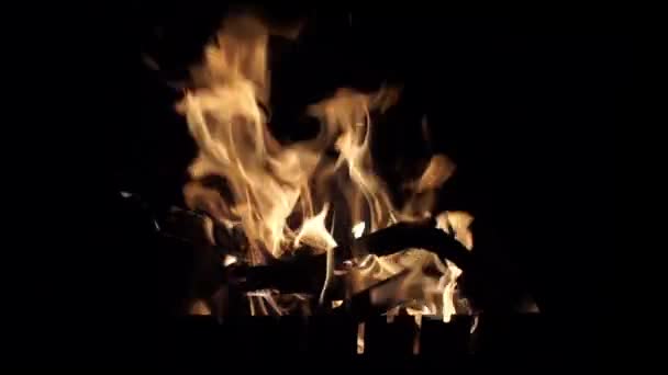 Plameny hořícího ohně izolovaných na černém pozadí — Stock video