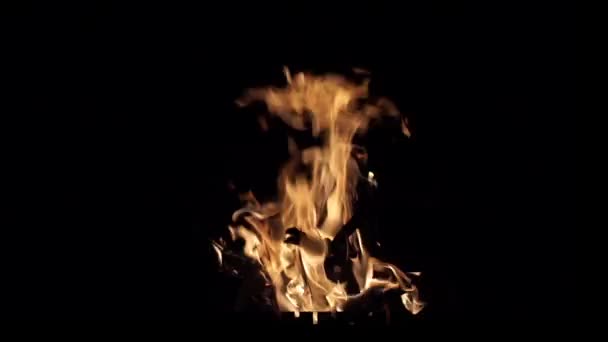 黒の背景に分離された火を燃焼の炎 — ストック動画