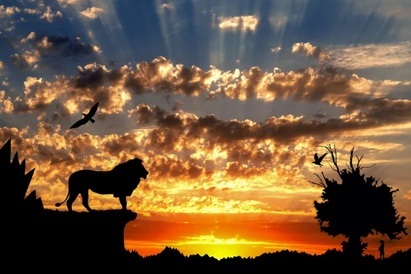 Джунглі з горами, старе дерево, пташиний лев і сурикат на золотому хмарному фоні заходу сонця — стокове фото