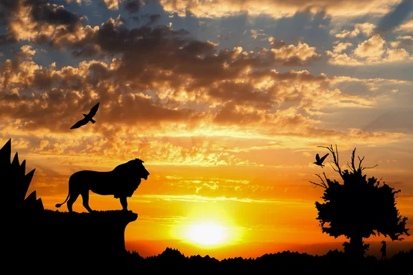 Selva con montañas, árbol viejo, pájaros león y suricata sobre fondo nublado dorado al atardecer —  Fotos de Stock