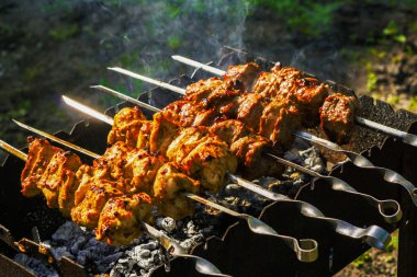 Tavuk ve dana kebabı ızgarada barbekü