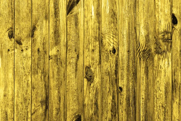 Parete di legno dorato texture sfondo macro — Foto Stock