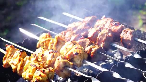 Pollo y ternera kebabs barbacoas se fríen en parrilla de pincho — Vídeo de stock