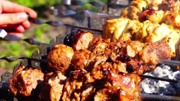 Barbecues de poulet et de veau kebabs sont frits sur brochette grill — Video
