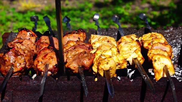 Pollo y ternera kebabs barbacoas se fríen en parrilla de pincho — Vídeo de stock
