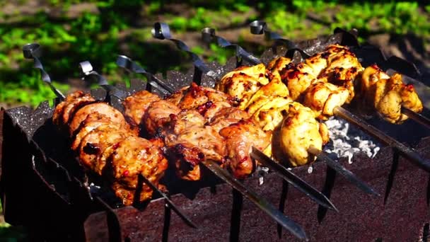 Chicken and veal kebabs barbecues are fried on skewer grill — Stock Video