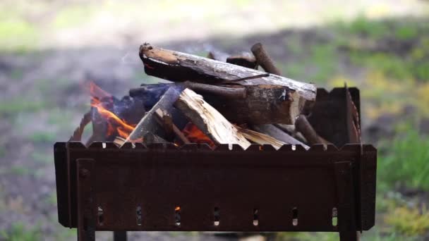 Горящее дерево в металлической жаровне — стоковое видео