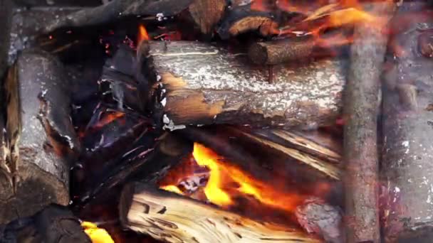 캠프 파이어 근접 촬영 배경에서 불타는 나무 — 비디오