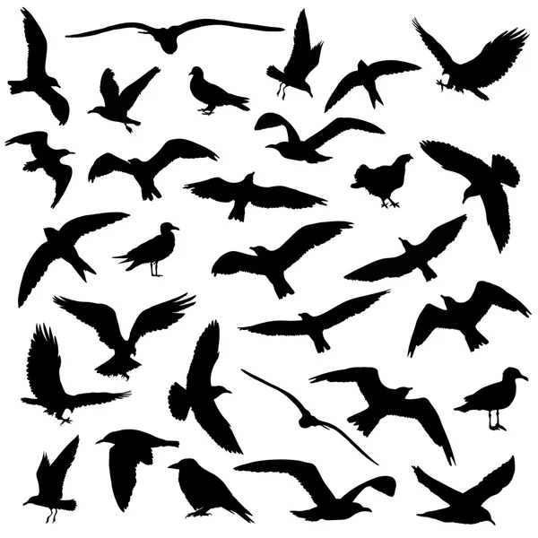 Set med fåglar siluetter 30 i 1 på vit bakgrund. Vektor illustration — Stock vektor