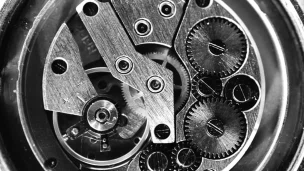 Vintage watch mechanism working macro black and white (looped video) — Stock Video