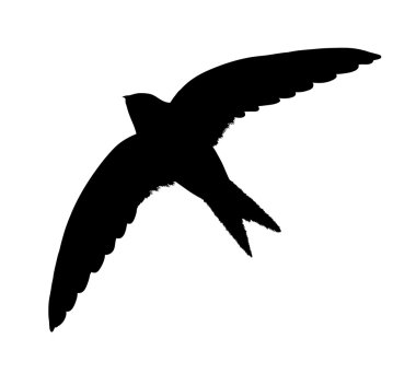 Beyaz arka plan üzerinde izole siluet uçan martı. Vektör çizim