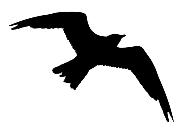 Möwe fliegende Silhouette isoliert auf weißem Hintergrund. Vektorillustration — Stockvektor