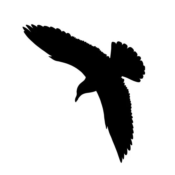 Sirály repül silhouette elszigetelt fehér background. Vektoros illusztráció — Stock Vector