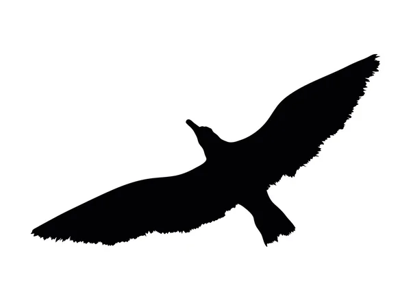 Silhouette de mouette volante isolée sur fond blanc. Illustration vectorielle — Image vectorielle