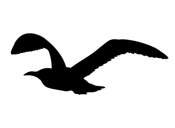 Silhouette de mouette volante isolée sur fond blanc. Illustration vectorielle — Image vectorielle