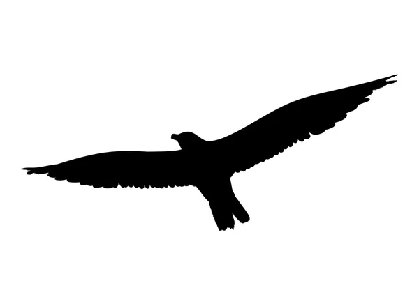 Möwe fliegende Silhouette isoliert auf weißem Hintergrund. Vektorillustration — Stockvektor