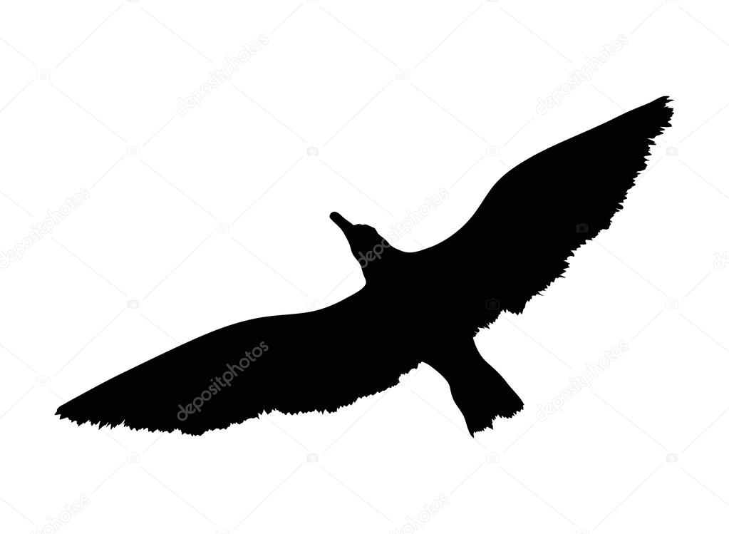 Silueta vectorial de una ave voladora Vector de stock Silueta vectorial de una ave voladora Vector de stock