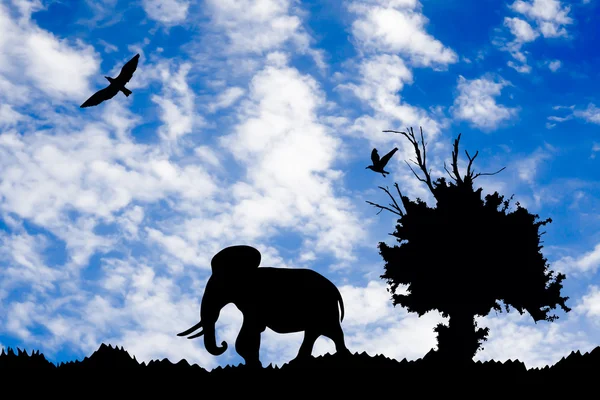 Jungle avec vieil arbre, oiseaux et éléphant sur fond bleu et doré nuageux coucher de soleil — Photo