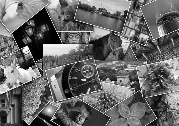 Collage de mosaico con imágenes de diferentes lugares, paisajes, flores, insectos, objetos y animales disparados por mí mismo — Foto de Stock