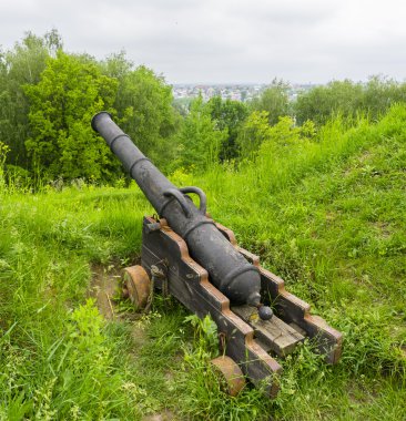 Old cannon in green grass at king residence