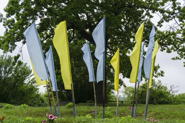 Ukrainische Flagge vor blauem Himmel — Stockfoto