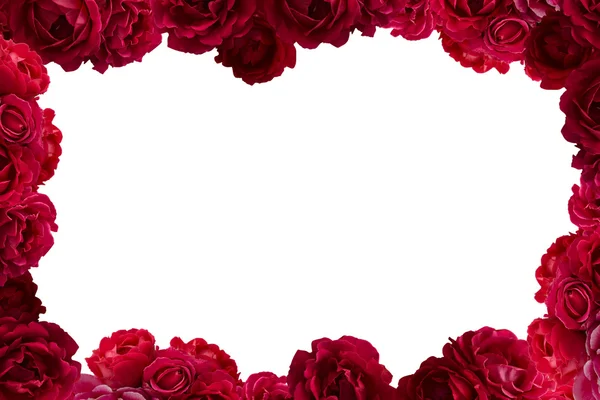 Frame with bush of red rose flowers background isolated on white — Stock Photo, Image