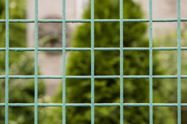Πράσινο νέα μεταλλική γρίλια φράχτη μακροεντολή και φύση φόντο — Φωτογραφία Αρχείου
