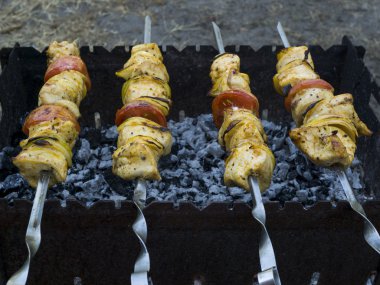 Tavuk kebap mangal şiş ızgara