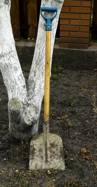 Metalowe nowoczesne łopata Szpadel w drzewie na ziemi w ogrodzie — Zdjęcie stockowe