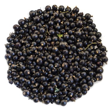 Siyah yaban mersini makro üzerinde beyaz izole